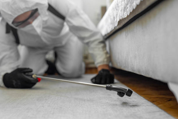 Professional Bed Bug Control technician working in Osceola County County, IA